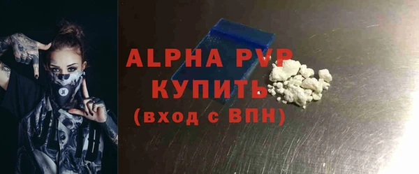 мдпв Бородино