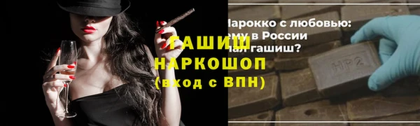 мдпв Бородино