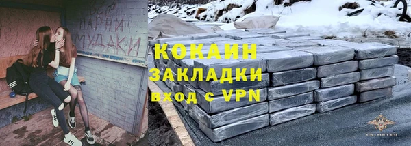 мдпв Бородино
