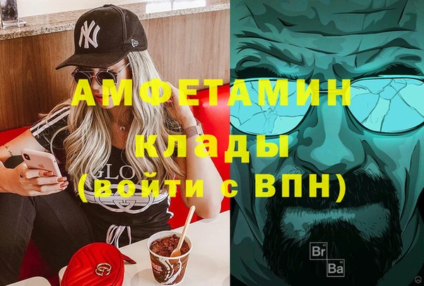 мдпв Бородино