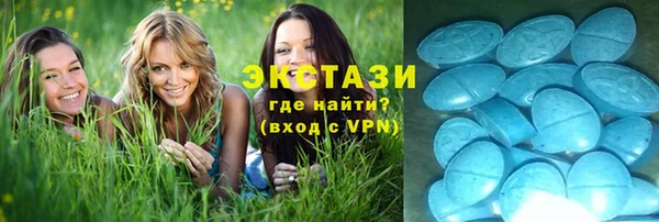 мдпв Бородино