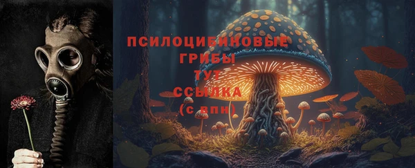 мдпв Бородино