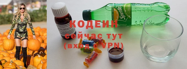 мдпв Бородино