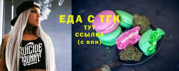 мдпв Бородино